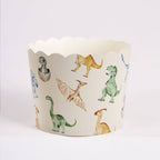 Dinosaur Cupcake Kit