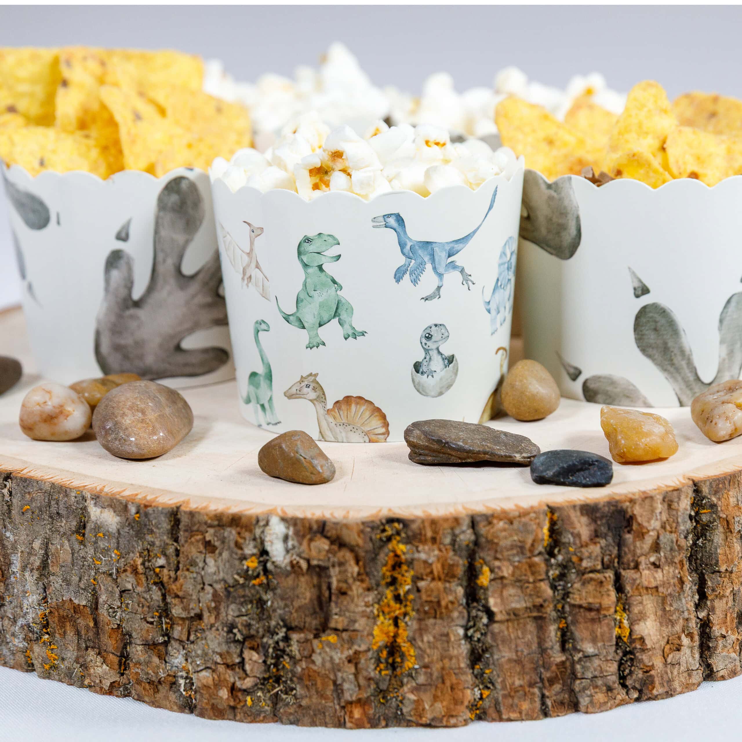 Dinosaur Cupcake Kit
