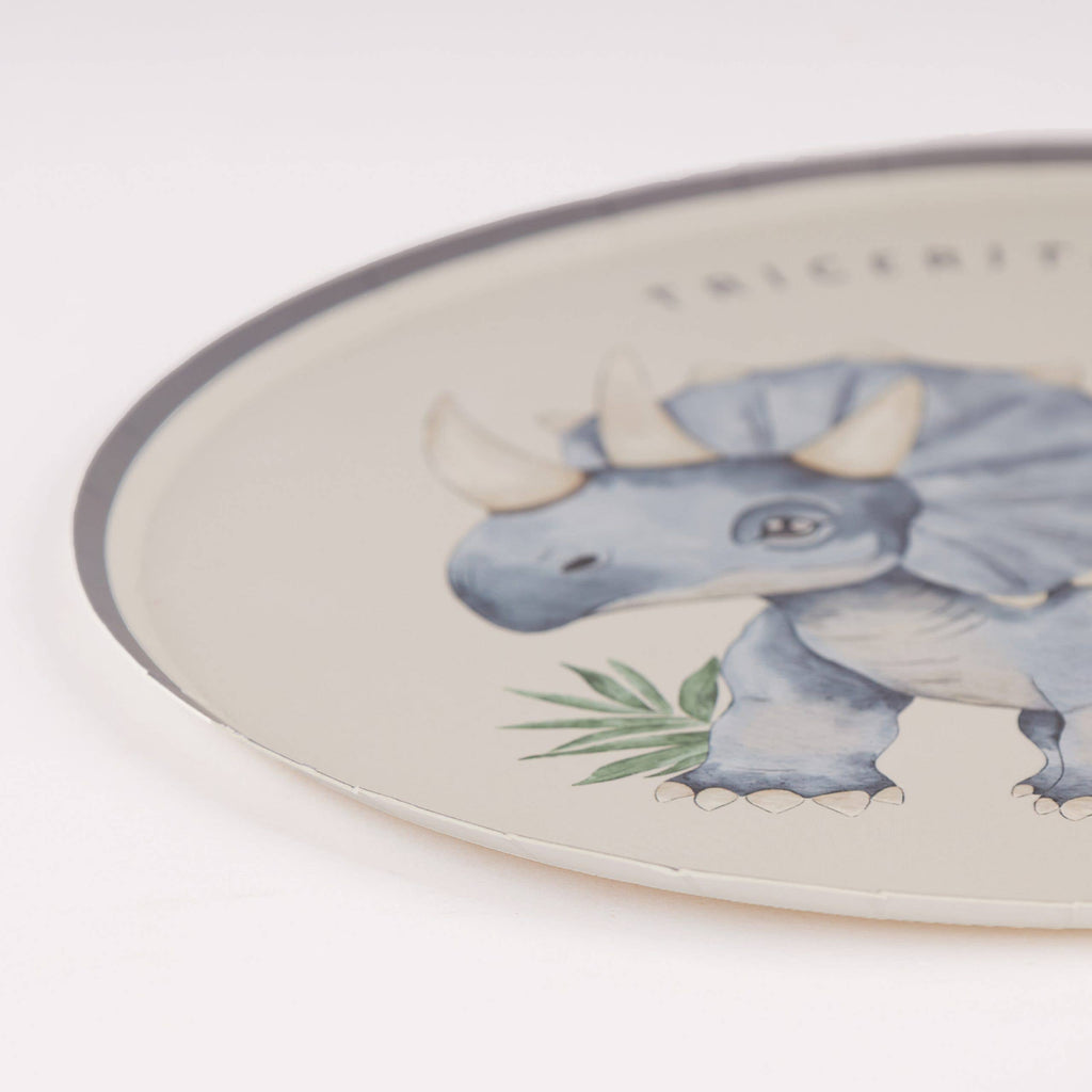 Dinosaur Paper Plates