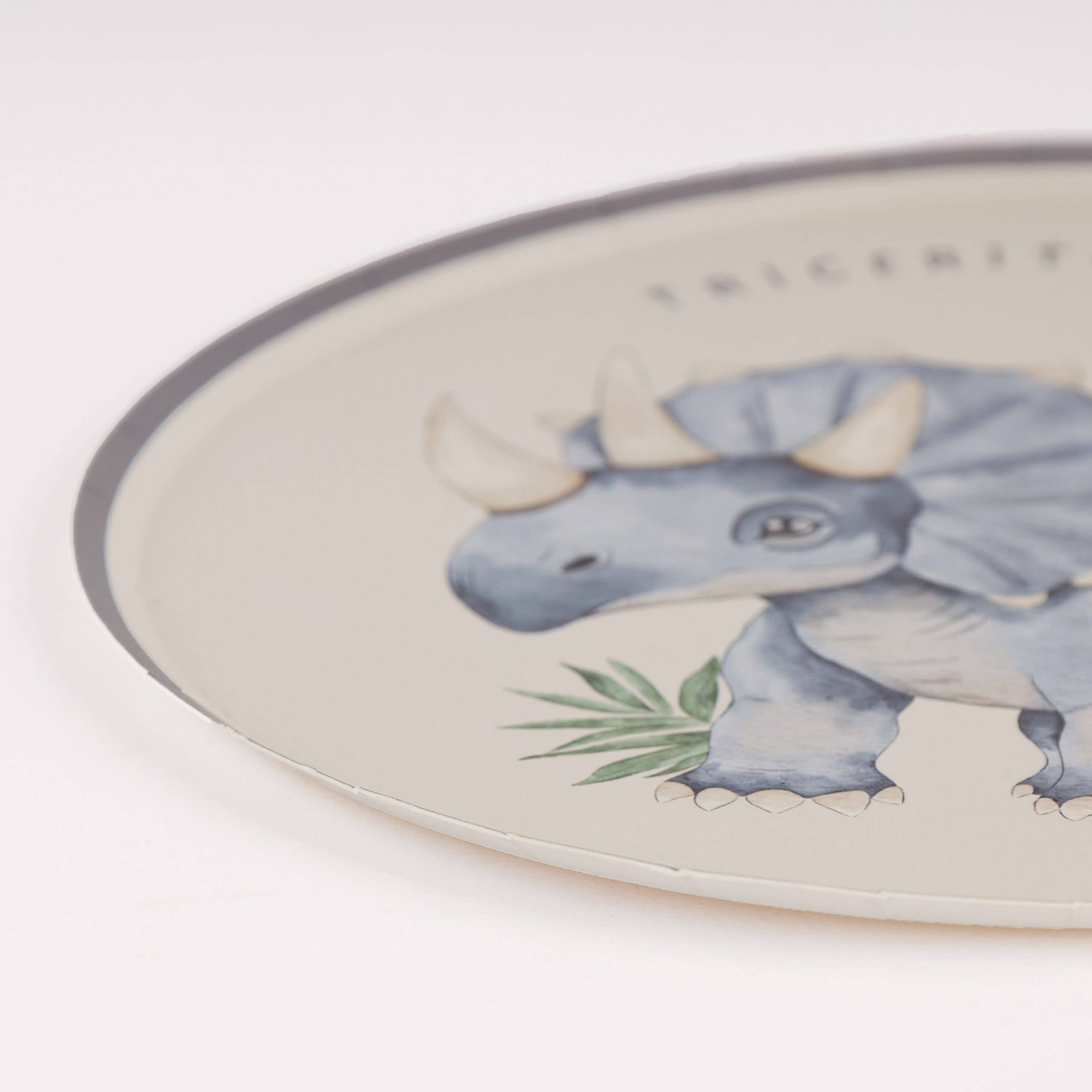 Dinosaur Paper Plates